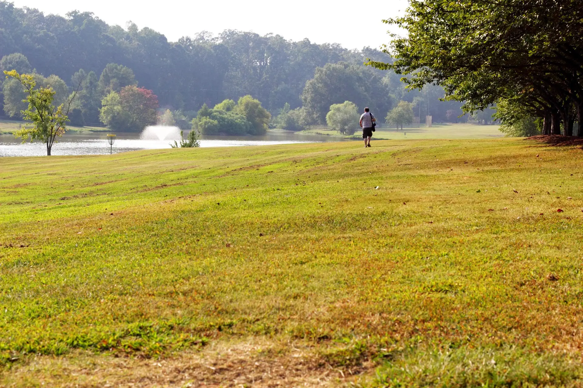 Disc Golf Open